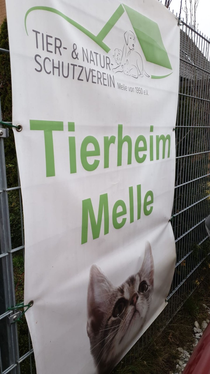 Tierheim Melle # (14)