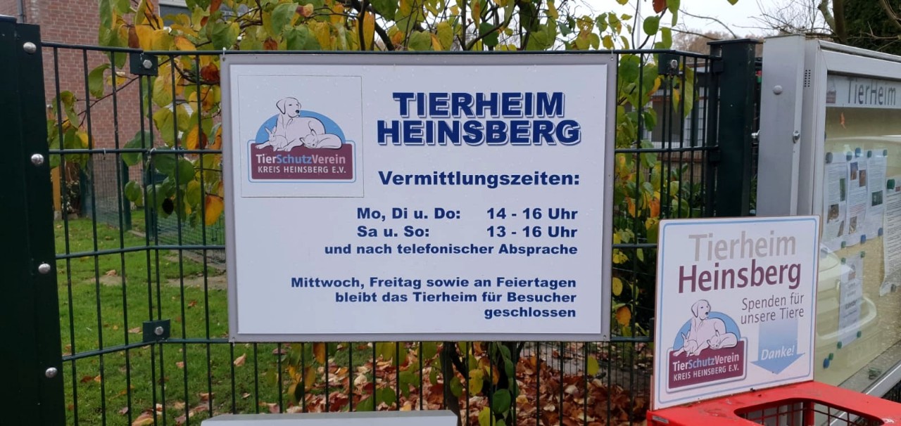 Tierschutzverein kreis Heinsberg #40 (33)