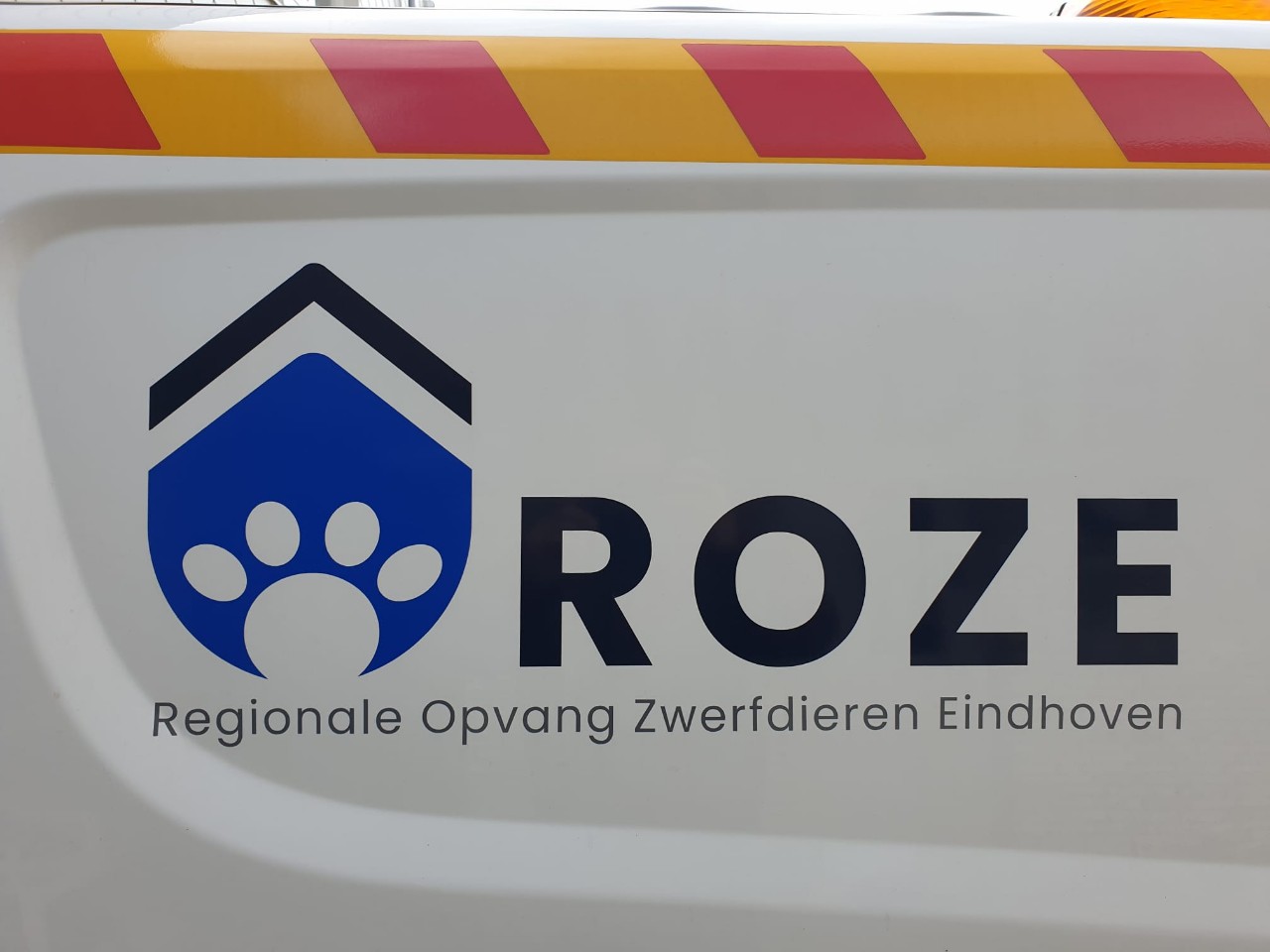 Regionale opvang zwerfdieren Eindhoven #253 (24)