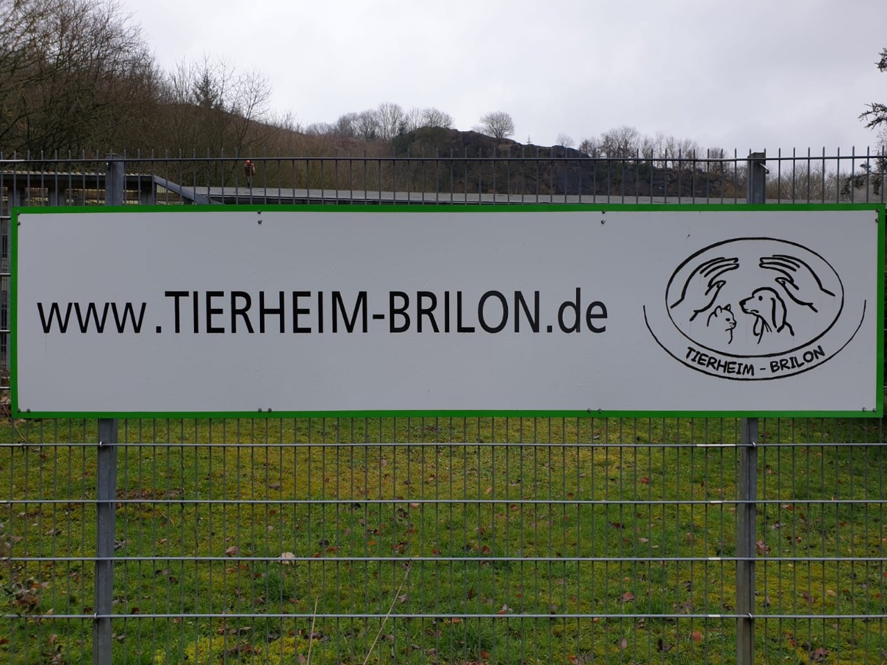 Tierheim Brilon # (24)