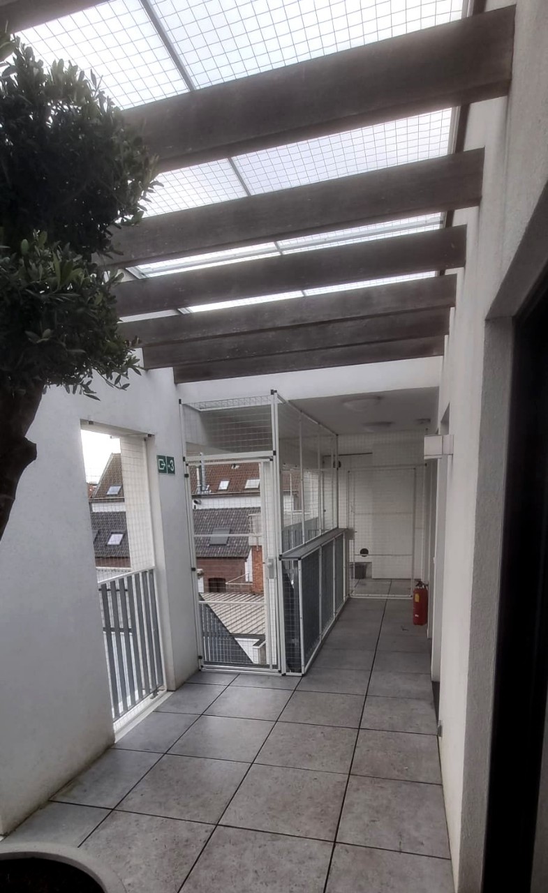 Balkon- oder Verandaumzäunung #280 (4)